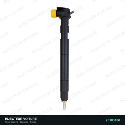 25183186 injecteur Delphi pour Chevrolet Captiva 2.2 CDTI, pièce reconditionnée testée au banc