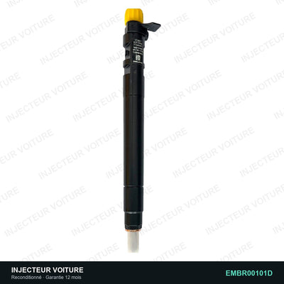 Injecteur 2.0 HDi R00101D Delphi