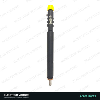 A6650170321 injecteur Delphi pour SsangYong Kyron 2.7 Xdi, pièce reconditionnée testée au banc