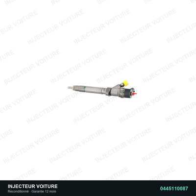 Injecteur 2.5 dCi 0445110087 Bosch vue 2