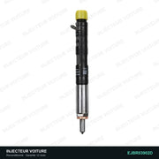 EJBR03902D injecteur Delphi pour Kia Carnival II 2.9 CRDi, pièce reconditionnée testée au banc, vue 1