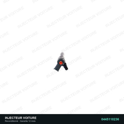 Injecteur 2.2 D 0445110236 Bosch vue 3