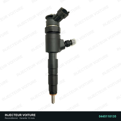0445110135 Injecteur Bosch Citroën C2 C3 Peugeot 206 307 1.4 HDi, injecteur reconditionné testé au banc