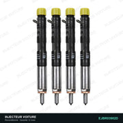 EJBR03902D injecteur Delphi pour Kia Carnival II 2.9 CRDi, pièce reconditionnée testée au banc vue 2, vue 2