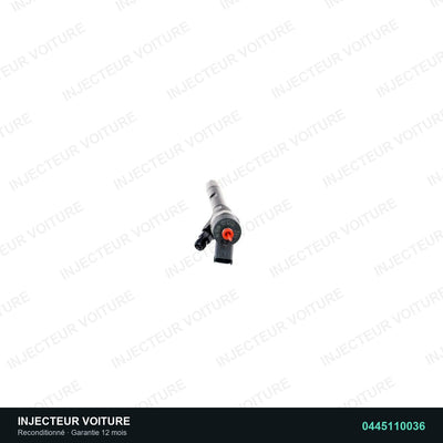 Injecteur 2.2 HDi 0445110036 Bosch vue 3