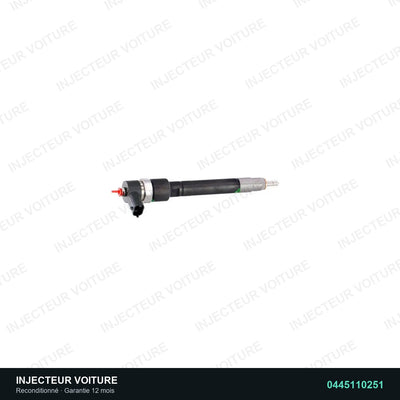 Injecteur 2.4 TDi 0445110251 Bosch vue 4