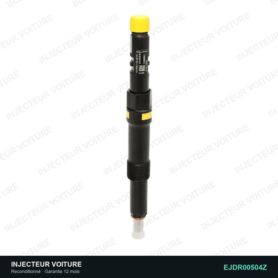 Injecteur 2.0 TDDi EJBR00503Z Delphi