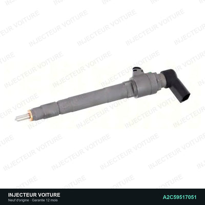 Injecteur 2.2 HDi A2C59517051 Siemens