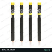 Injecteur 2.2 CDI R04201D Delphi, vue 1