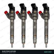 0445110551 injecteur Bosch pour Volkswagen Crafter 30-35 2.0 TDI, pièce reconditionnée testée au banc, vue 1