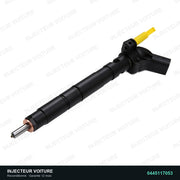 0445117053 injecteur Bosch pour Peugeot 407 Coupe 3.0 D, pièce reconditionnée testée au banc, vue 1