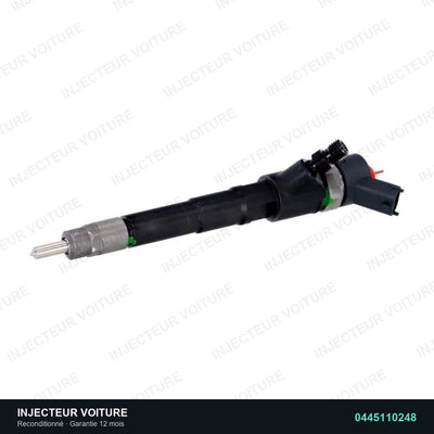 Injecteur 3.0 HDi 0445110248 Bosch