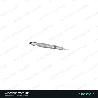 Injecteur 2.0 TDCi EJBR00301Z Delphi vue 5