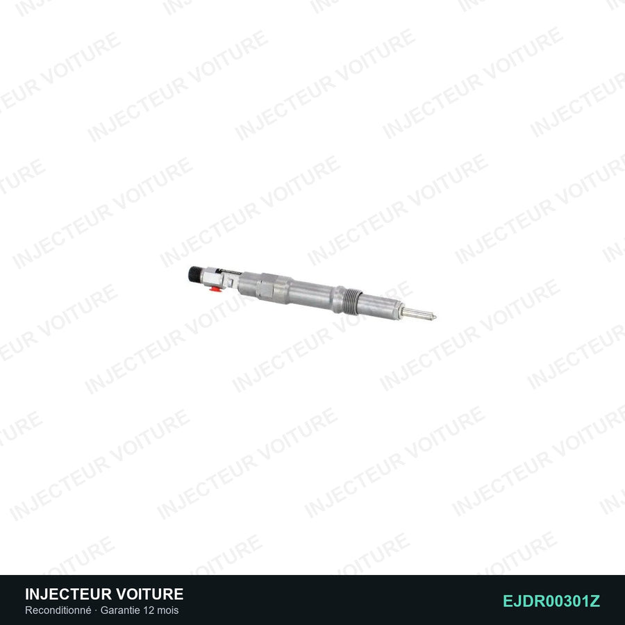 Injecteur 2.0 TDCi EJBR00301Z Delphi vue 5