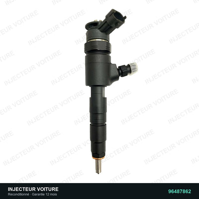 96487862 injecteur Bosch pour Citroën C3 I 1.4 HDi, pièce reconditionnée testée au banc